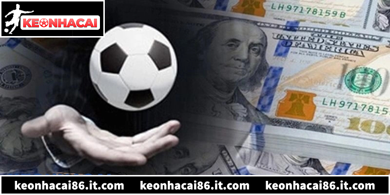 Cách kiểm tra và nhận diện nhà cái uy tín, minh bạch nhất