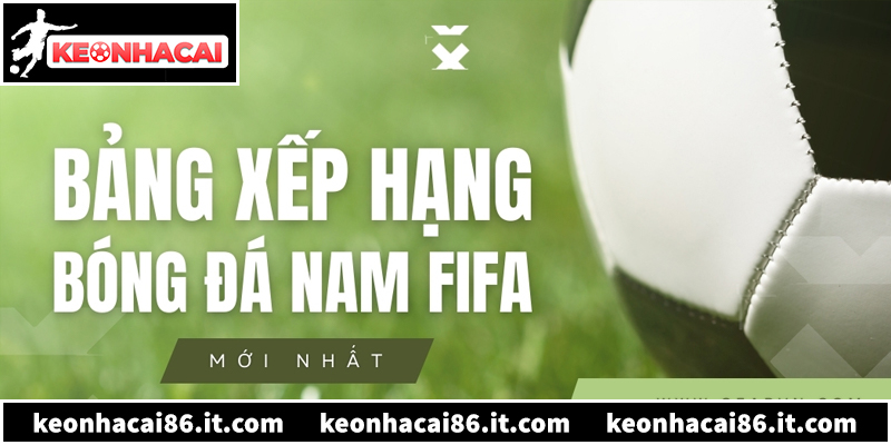 Cập nhật bảng xếp hạng bóng đá hôm nay chính xác